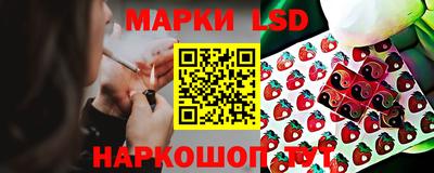 jwh Новозыбков