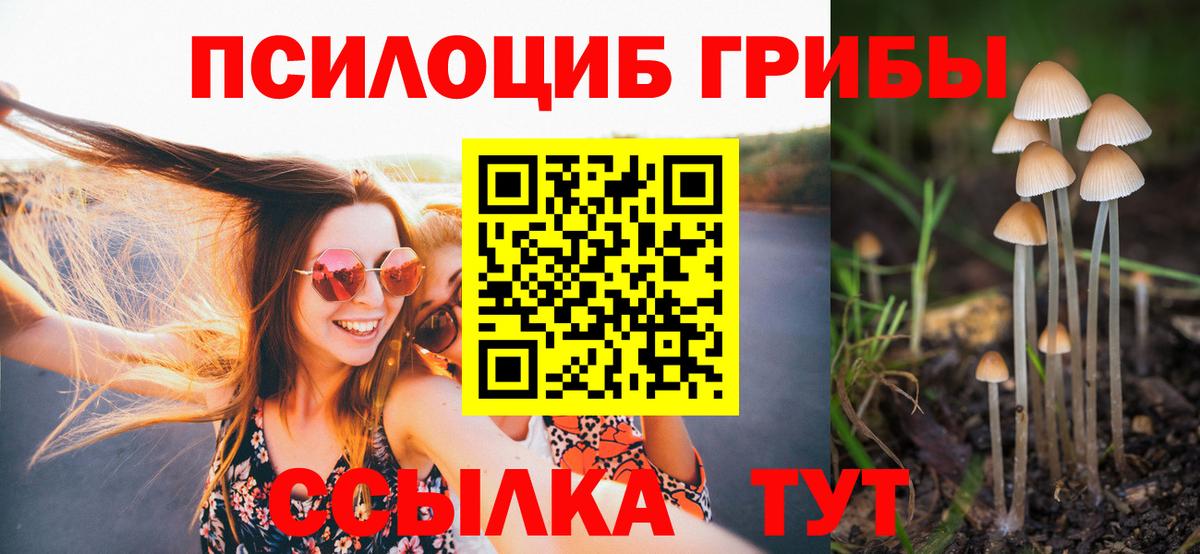Острогожск  Галлюциногенные грибы Psilocybe  Псилоцибиновые грибы мухоморы  Вход с VPN 